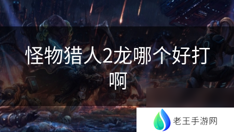 怪物猎人2龙哪个好打啊
