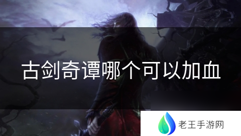 古剑奇谭哪个可以加血