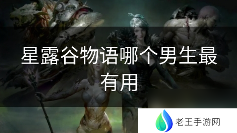 星露谷物语哪个男生最有用